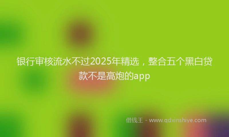 银行审核流水不过2025年精选，整合五个黑白贷款不是高炮的app