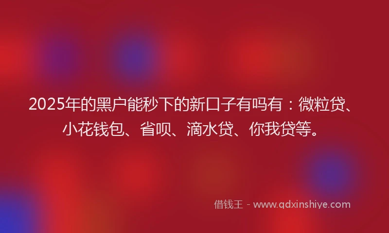 2025年的黑户能秒下的新口子有吗有：微粒贷、小花钱包、省呗、滴水贷、你我贷等。