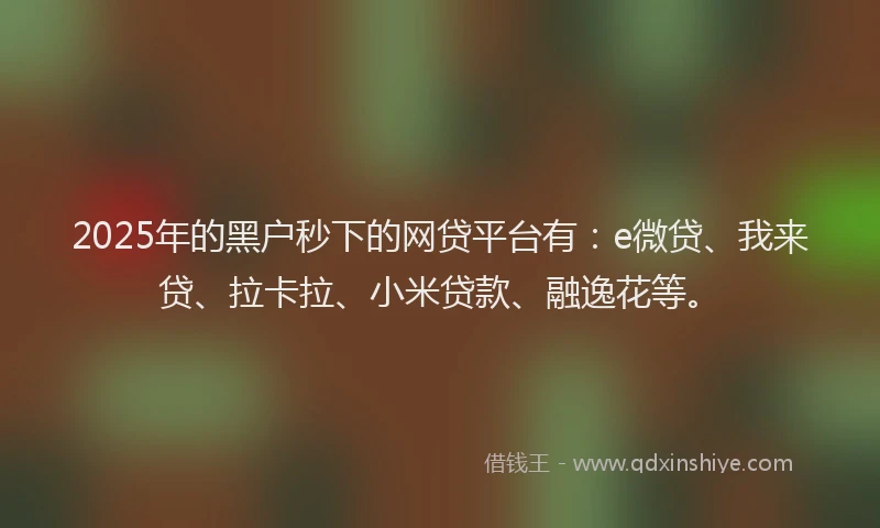 2025年的黑户秒下的网贷平台有：e微贷、我来贷、拉卡拉、小米贷款、融逸花等。
