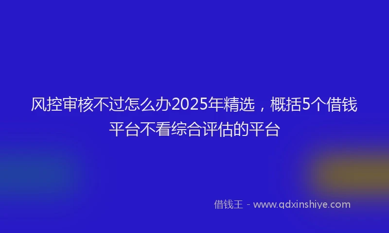 风控审核不过怎么办2025年精选，概括5个借钱平台不看综合评估的平台