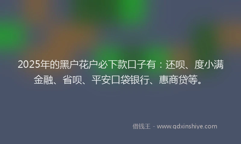 2025年的黑户花户必下款口子有：还呗、度小满金融、省呗、平安口袋银行、惠商贷等。