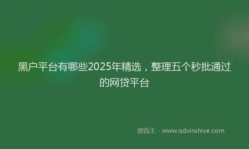 黑户平台有哪些2025年精选，整理五个秒批通过的网贷平台