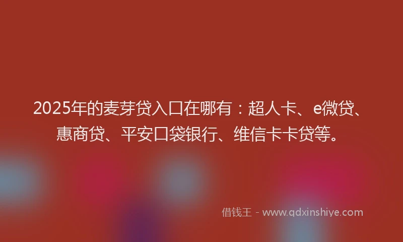 2025年的麦芽贷入口在哪有：超人卡、e微贷、惠商贷、平安口袋银行、维信卡卡贷等。