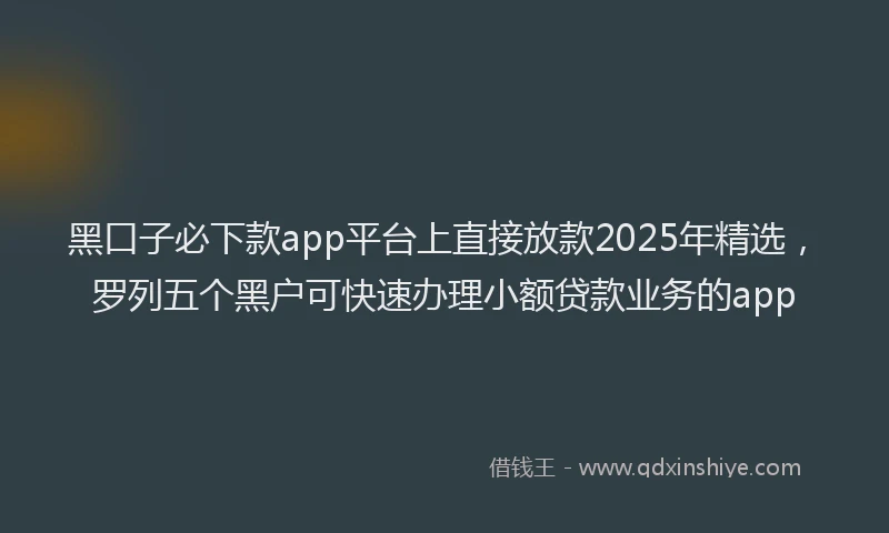 黑口子必下款app平台上直接放款2025年精选，罗列五个黑户可快速办理小额贷款业务的app