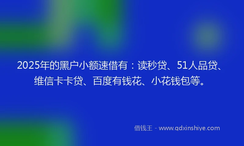 2025年的黑户小额速借有：读秒贷、51人品贷、维信卡卡贷、百度有钱花、小花钱包等。