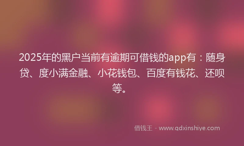 2025年的黑户当前有逾期可借钱的app有：随身贷、度小满金融、小花钱包、百度有钱花、还呗等。