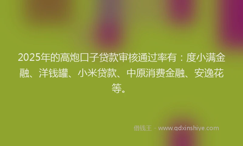 2025年的高炮口子贷款审核通过率有：度小满金融、洋钱罐、小米贷款、中原消费金融、安逸花等。