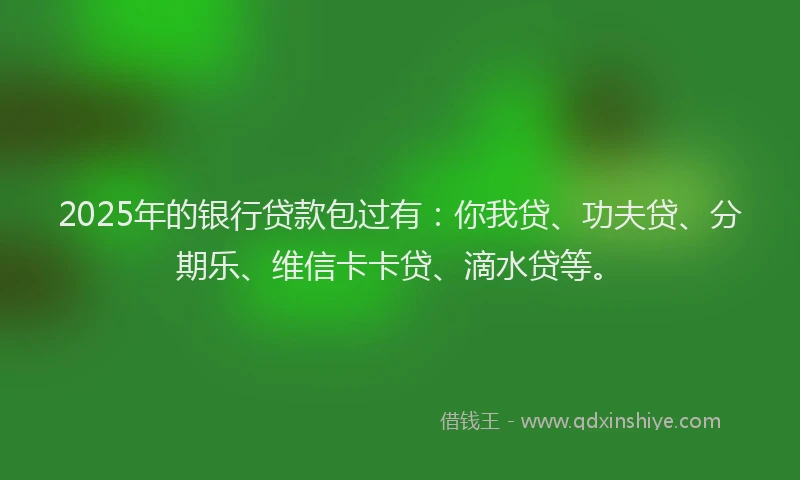 2025年的银行贷款包过有：你我贷、功夫贷、分期乐、维信卡卡贷、滴水贷等。
