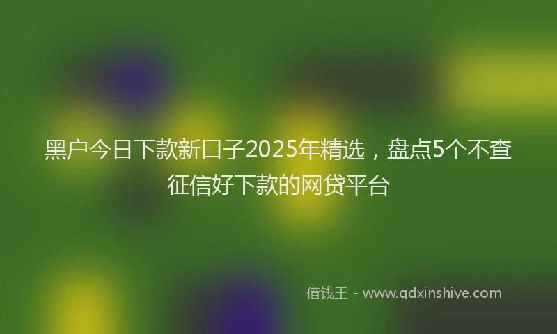 黑户今日下款新口子2025年精选，盘点5个不查征信好下款的网贷平台