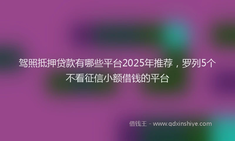 驾照抵押贷款有哪些平台2025年推荐，罗列5个不看征信小额借钱的平台