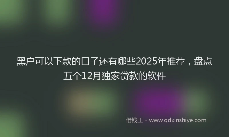 黑户可以下款的口子还有哪些2025年推荐，盘点五个12月独家贷款的软件