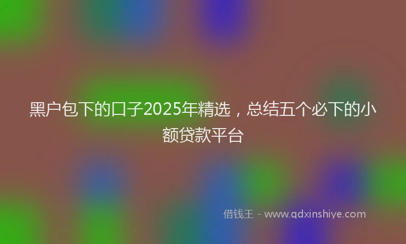 黑户包下的口子2025年精选，总结五个必下的小额贷款平台