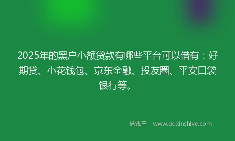 2025年的黑户小额贷款有哪些平台可以借有：好期贷、小花钱包、京东金融、投友圈、平安口袋银行等。
