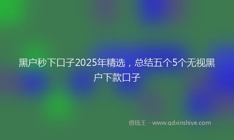黑户秒下口子2025年精选，总结五个5个无视黑户下款口子