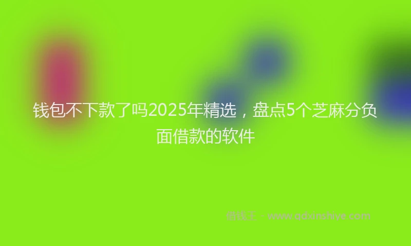 钱包不下款了吗2025年精选，盘点5个芝麻分负面借款的软件