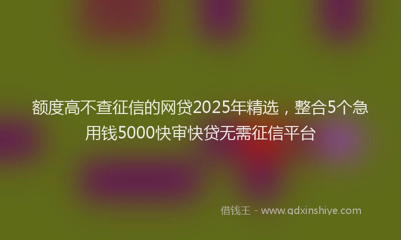 额度高不查征信的网贷2025年精选，整合5个急用钱5000快审快贷无需征信平台