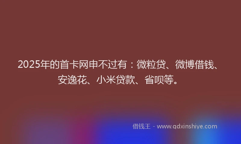 2025年的首卡网申不过有：微粒贷、微博借钱、安逸花、小米贷款、省呗等。