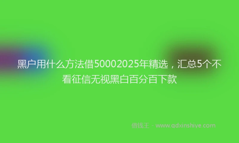 黑户用什么方法借50002025年精选，汇总5个不看征信无视黑白百分百下款