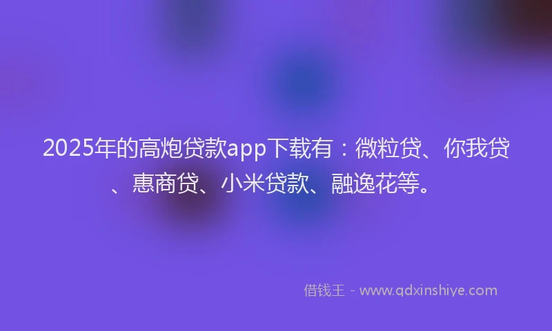 2025年的高炮贷款app下载有：微粒贷、你我贷、惠商贷、小米贷款、融逸花等。