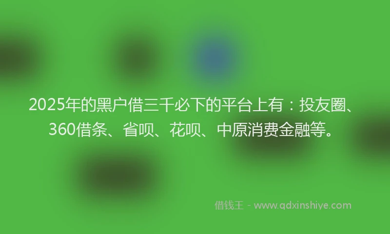 2025年的黑户借三千必下的平台上有：投友圈、360借条、省呗、花呗、中原消费金融等。