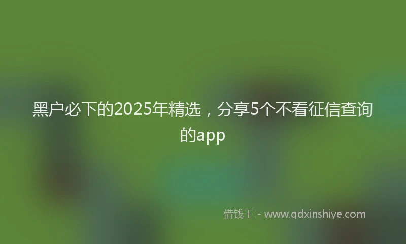 黑户必下的2025年精选，分享5个不看征信查询的app