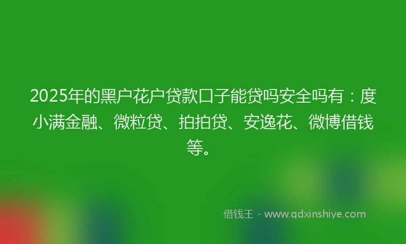 2025年的黑户花户贷款口子能贷吗安全吗有：度小满金融、微粒贷、拍拍贷、安逸花、微博借钱等。