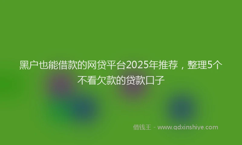 黑户也能借款的网贷平台2025年推荐，整理5个不看欠款的贷款口子