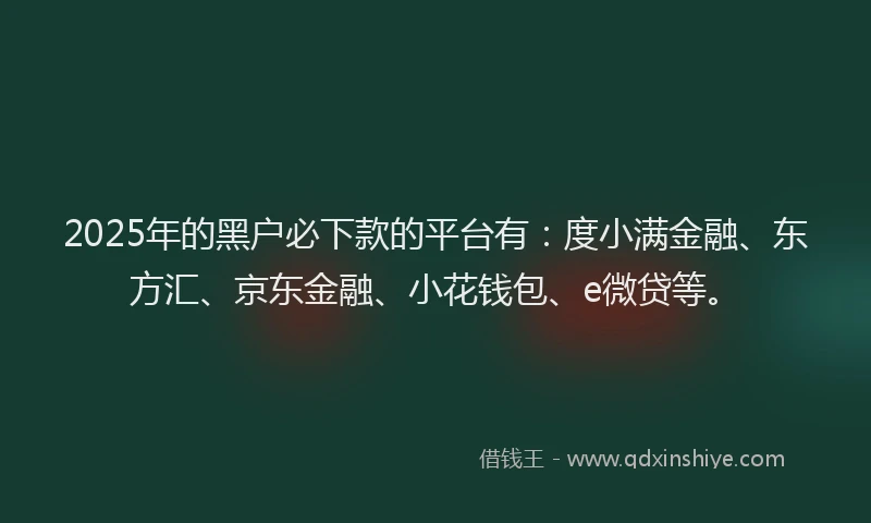 2025年的黑户必下款的平台有：度小满金融、东方汇、京东金融、小花钱包、e微贷等。