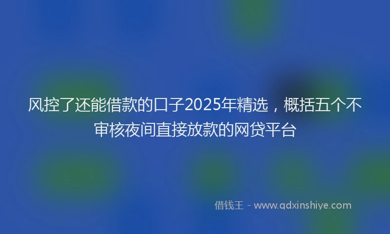 风控了还能借款的口子2025年精选，概括五个不审核夜间直接放款的网贷平台