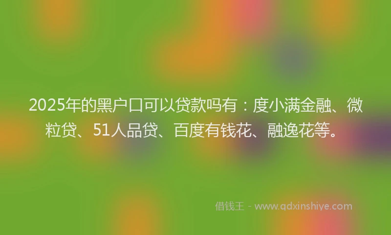 2025年的黑户口可以贷款吗有：度小满金融、微粒贷、51人品贷、百度有钱花、融逸花等。