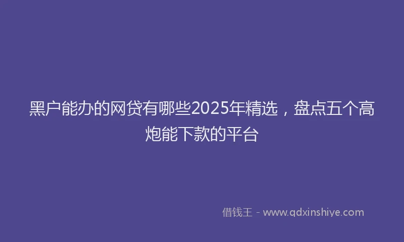 黑户能办的网贷有哪些2025年精选，盘点五个高炮能下款的平台