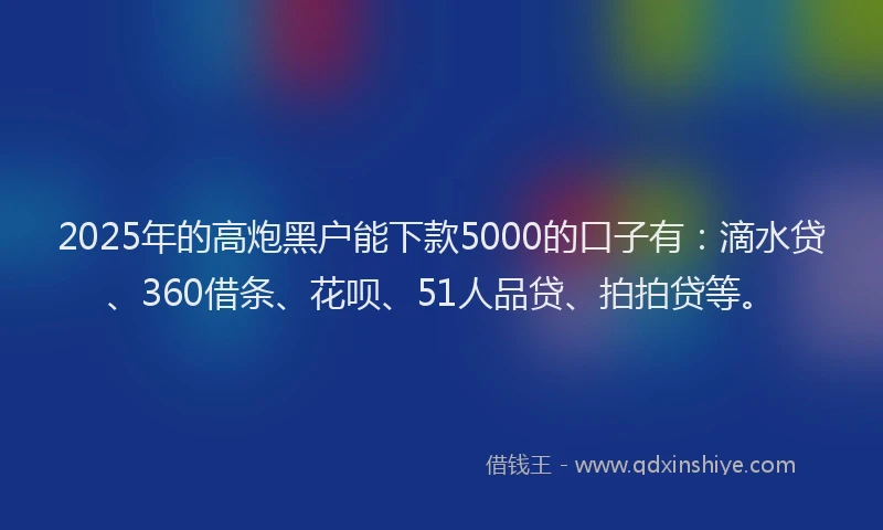 2025年的高炮黑户能下款5000的口子有：滴水贷、360借条、花呗、51人品贷、拍拍贷等。