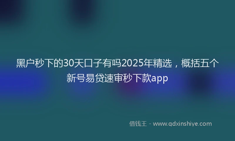 黑户秒下的30天口子有吗2025年精选，概括五个新号易贷速审秒下款app