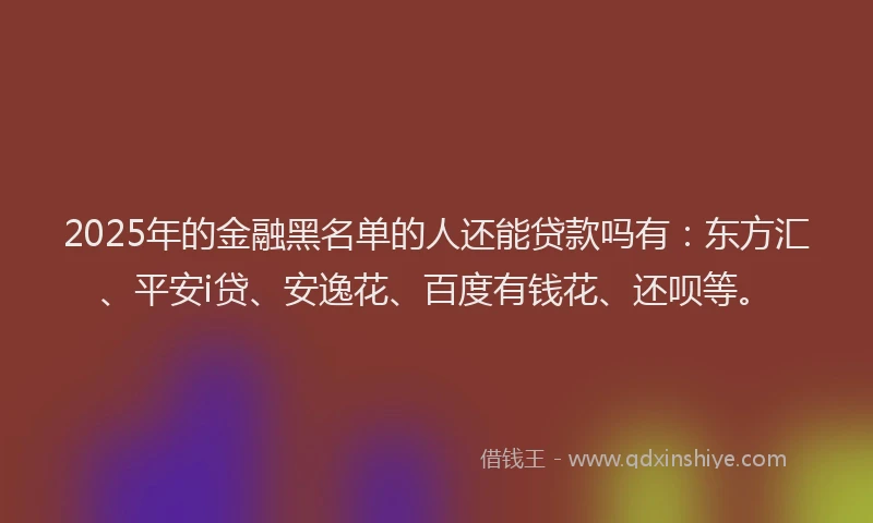 2025年的金融黑名单的人还能贷款吗有：东方汇、平安i贷、安逸花、百度有钱花、还呗等。