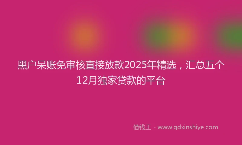 黑户呆账免审核直接放款2025年精选，汇总五个12月独家贷款的平台