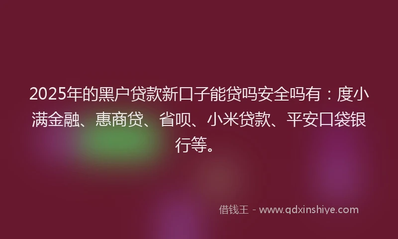 2025年的黑户贷款新口子能贷吗安全吗有：度小满金融、惠商贷、省呗、小米贷款、平安口袋银行等。