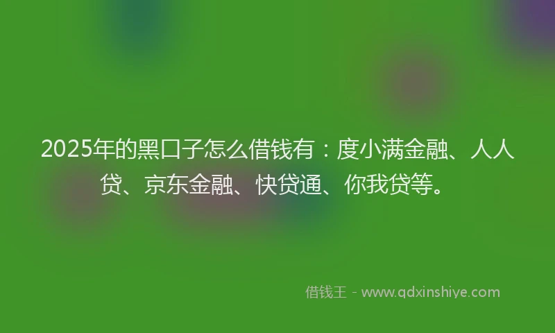2025年的黑口子怎么借钱有：度小满金融、人人贷、京东金融、快贷通、你我贷等。