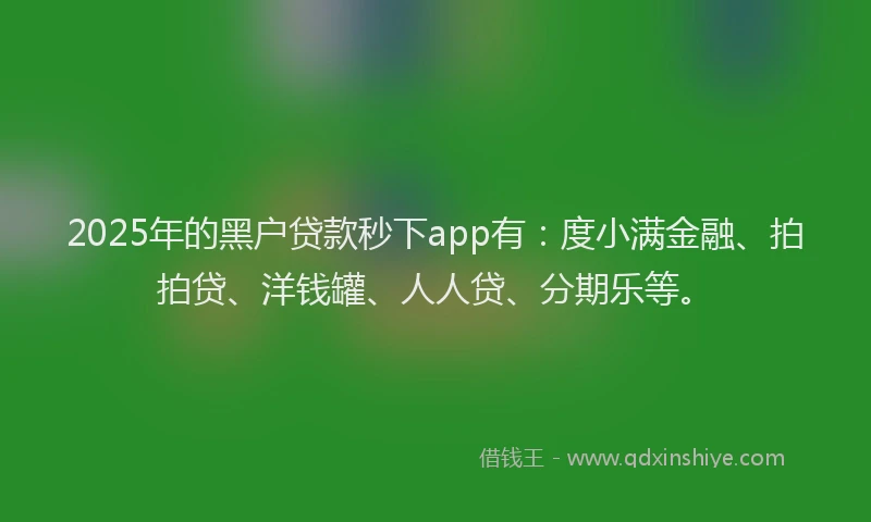 2025年的黑户贷款秒下app有：度小满金融、拍拍贷、洋钱罐、人人贷、分期乐等。
