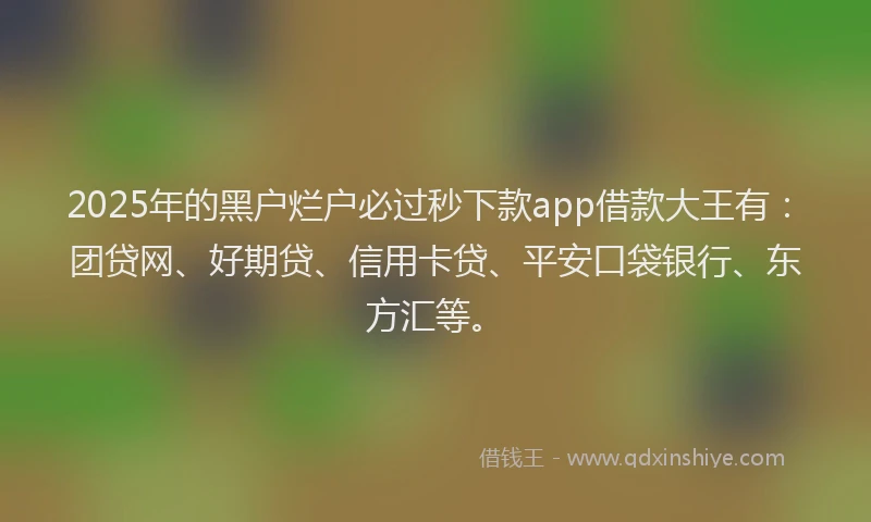 2025年的黑户烂户必过秒下款app借款大王有：团贷网、好期贷、信用卡贷、平安口袋银行、东方汇等。