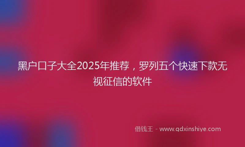 黑户口子大全2025年推荐，罗列五个快速下款无视征信的软件
