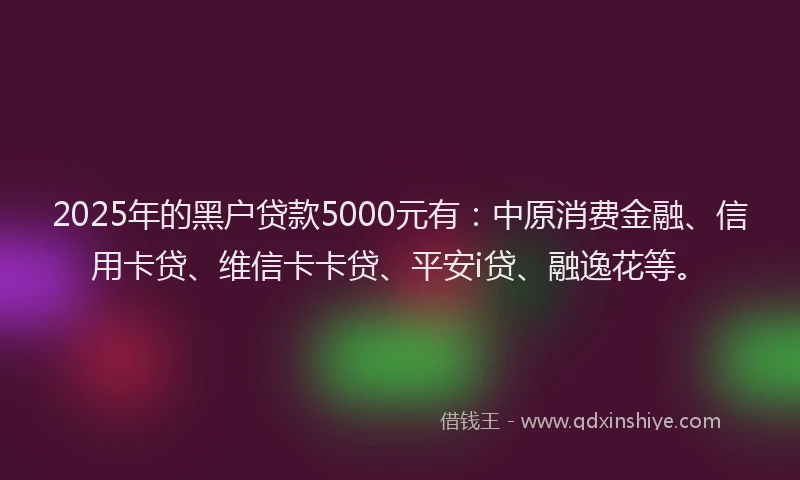 2025年的黑户贷款5000元有：中原消费金融、信用卡贷、维信卡卡贷、平安i贷、融逸花等。