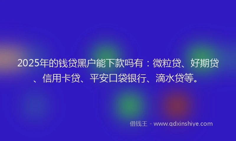 2025年的钱贷黑户能下款吗有：微粒贷、好期贷、信用卡贷、平安口袋银行、滴水贷等。