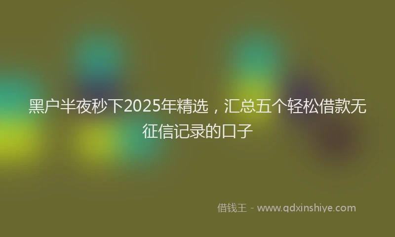 黑户半夜秒下2025年精选，汇总五个轻松借款无征信记录的口子