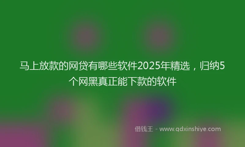 马上放款的网贷有哪些软件2025年精选，归纳5个网黑真正能下款的软件