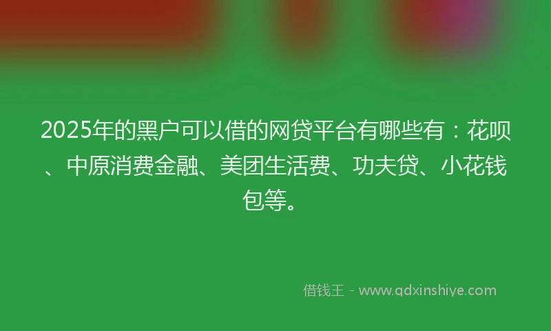 2025年的黑户可以借的网贷平台有哪些有：花呗、中原消费金融、美团生活费、功夫贷、小花钱包等。