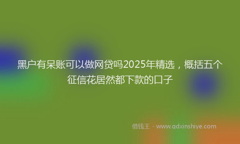 黑户有呆账可以做网贷吗2025年精选，概括五个征信花居然都下款的口子