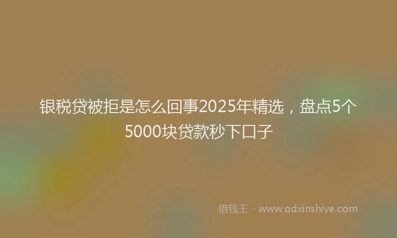 银税贷被拒是怎么回事2025年精选，盘点5个5000块贷款秒下口子