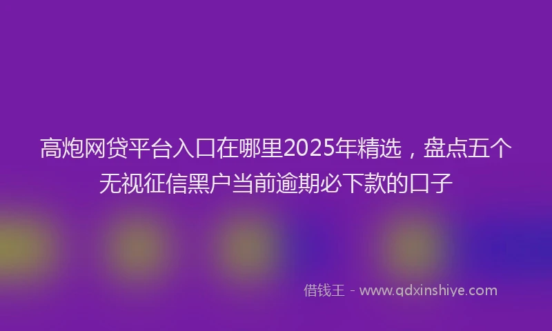 高炮网贷平台入口在哪里2025年精选，盘点五个无视征信黑户当前逾期必下款的口子