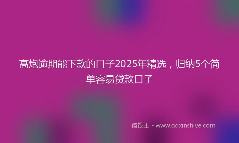 高炮逾期能下款的口子2025年精选，归纳5个简单容易贷款口子