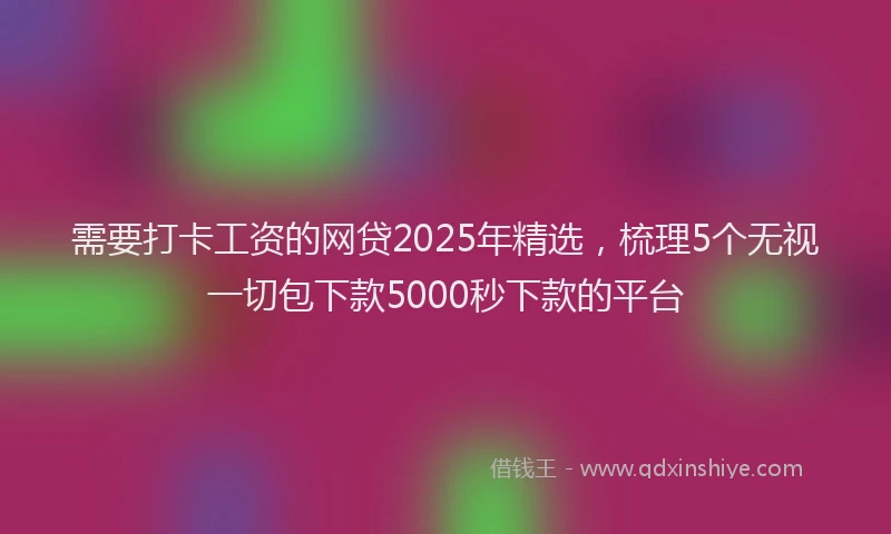需要打卡工资的网贷2025年精选，梳理5个无视一切包下款5000秒下款的平台
